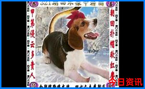 118现场开奖直播+最快